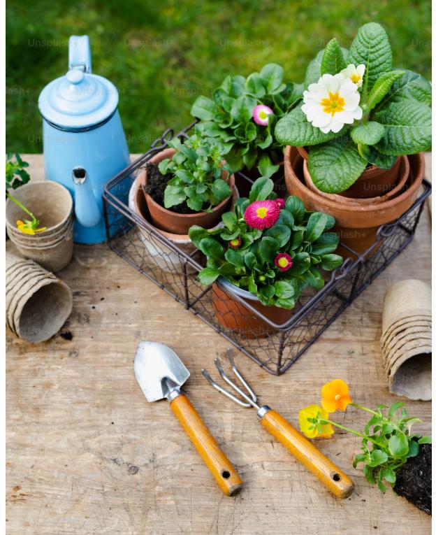 Home Garden